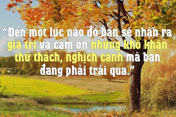 những câu chuyện ý nghĩa vệ cuộc sống