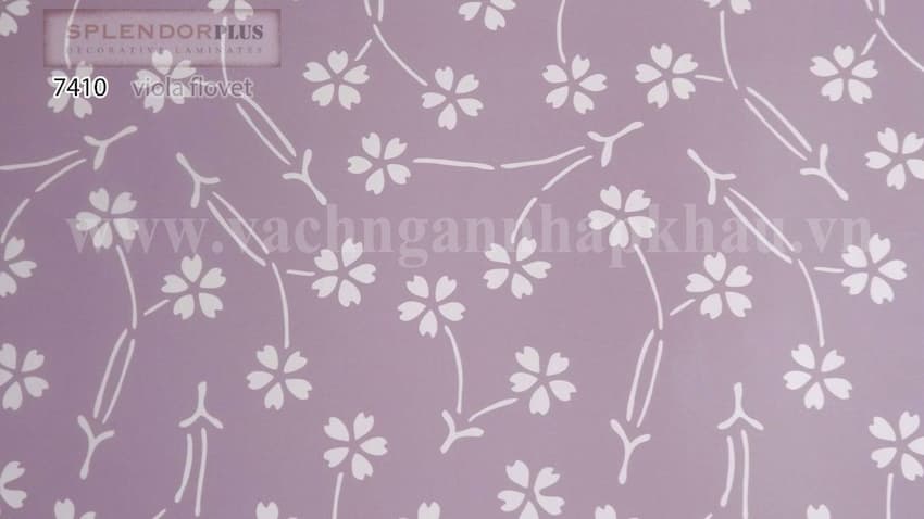 Phân phối lẻ Laminate uy tín giá rẻ nhất tại TPHCM ở đâu ?