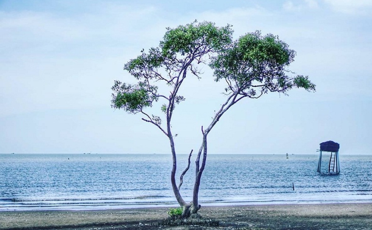 Bai bien tan thanh 2