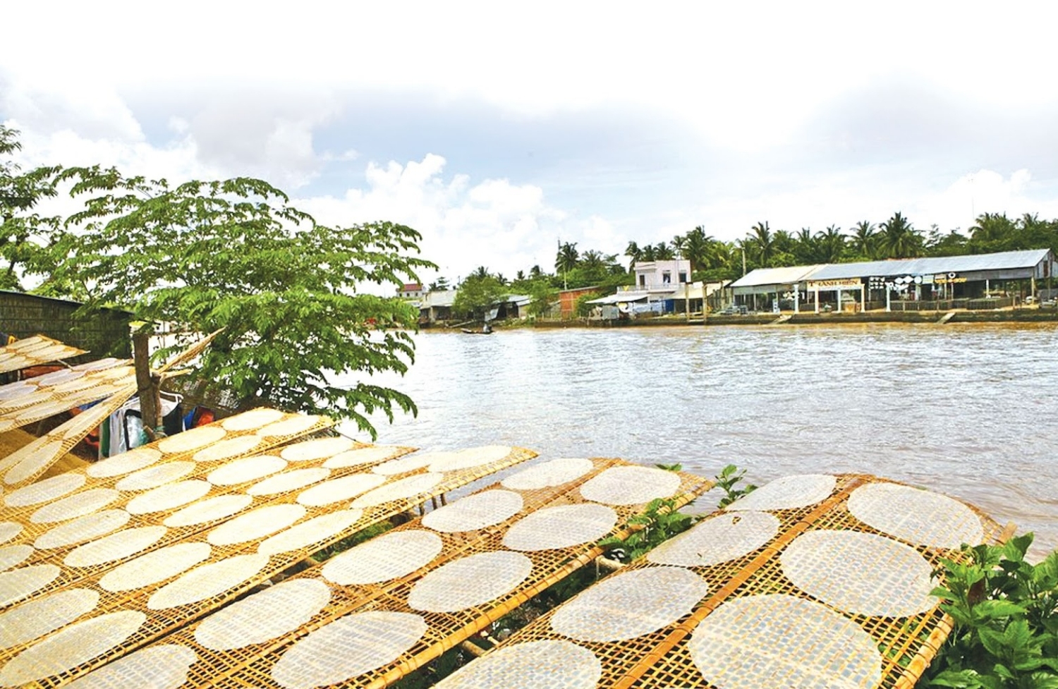 Bánh tráng nước dừa