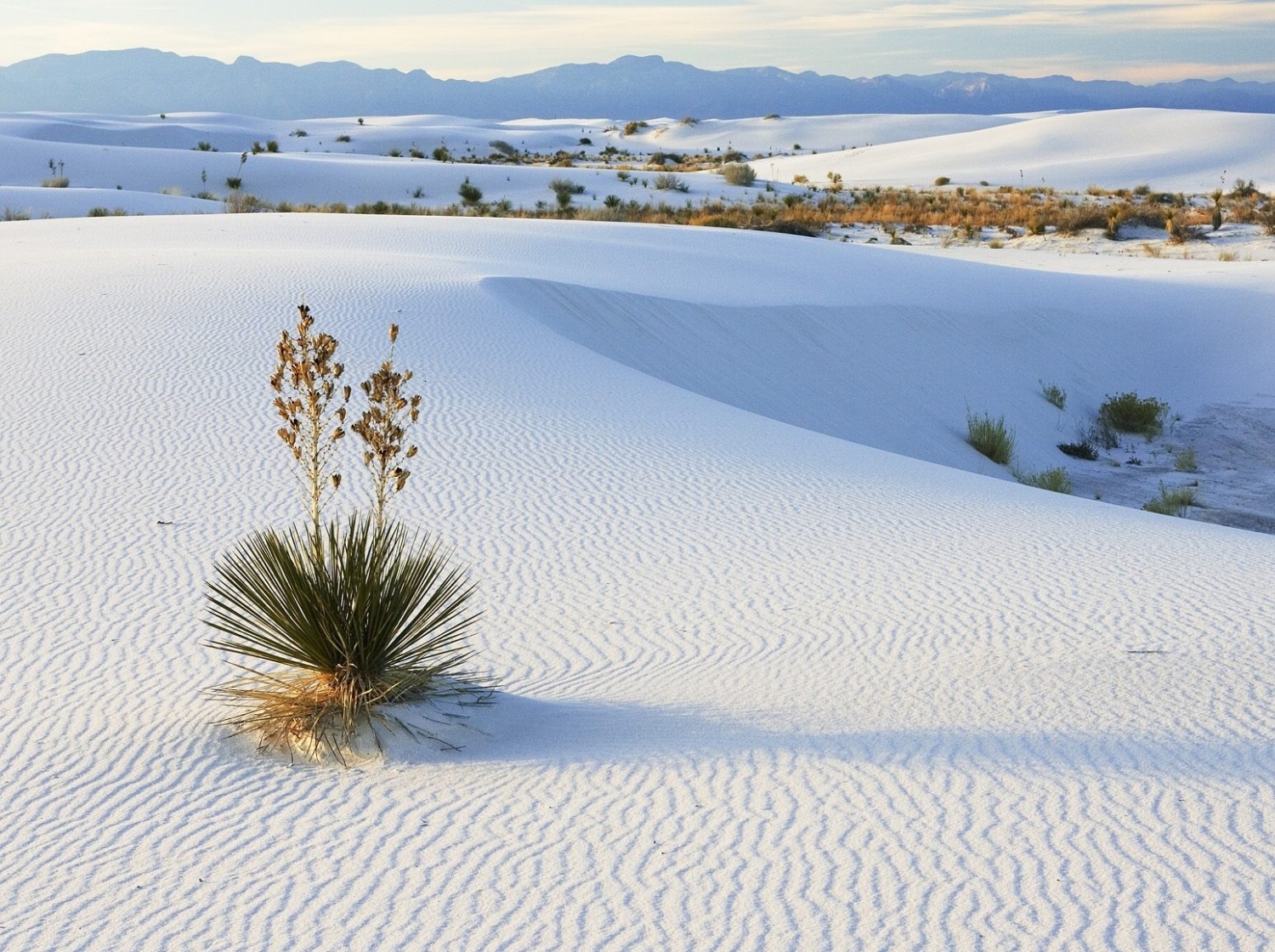 Bàu Trắng – Bàu Sen 2