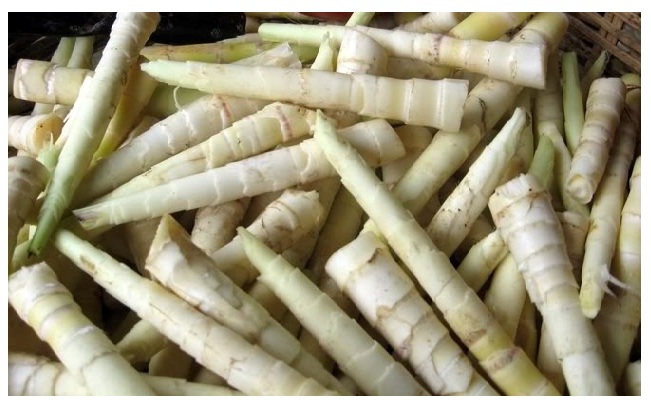 măng đắng ngàn me