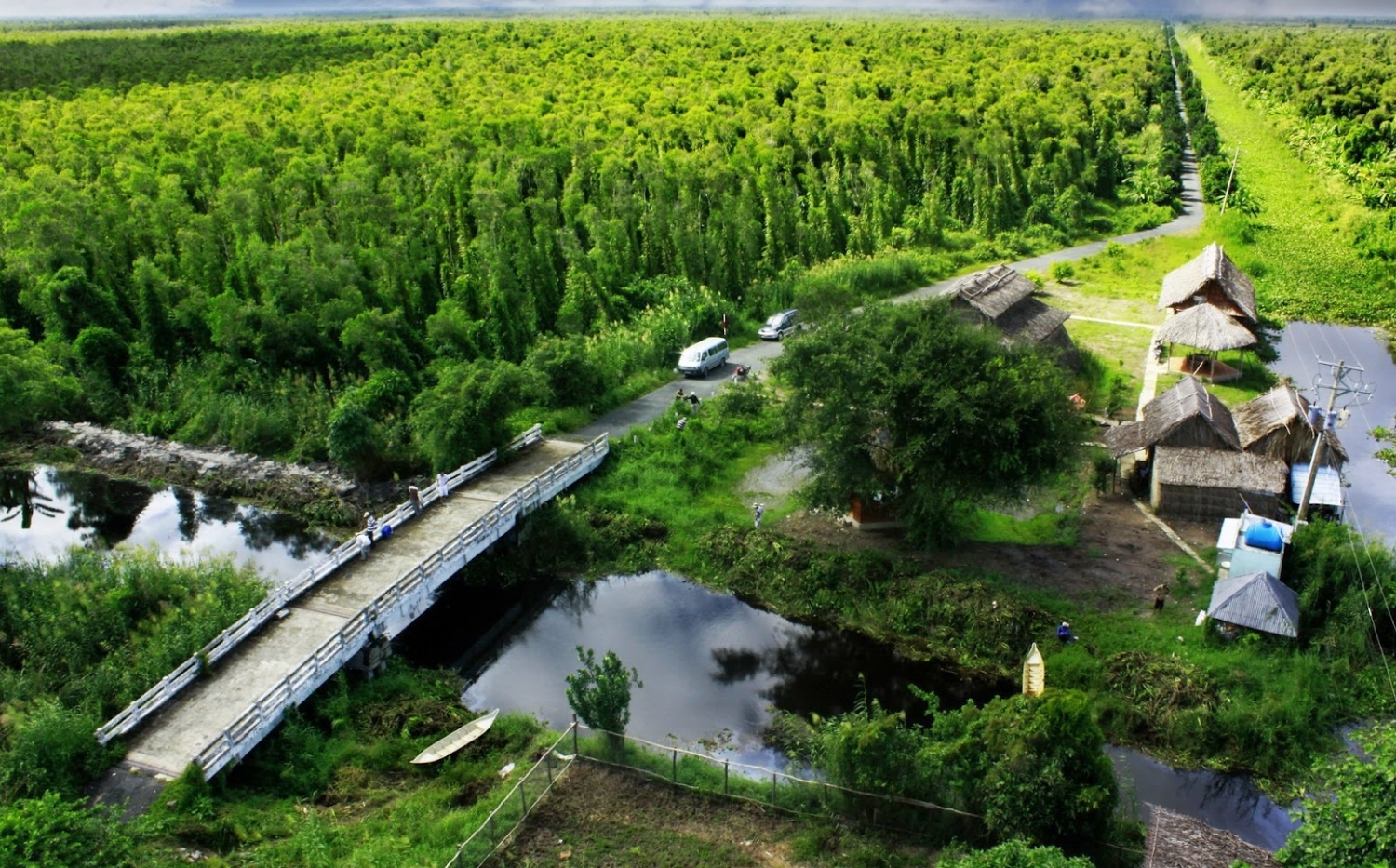 Rừng quốc gia U Minh Hạ