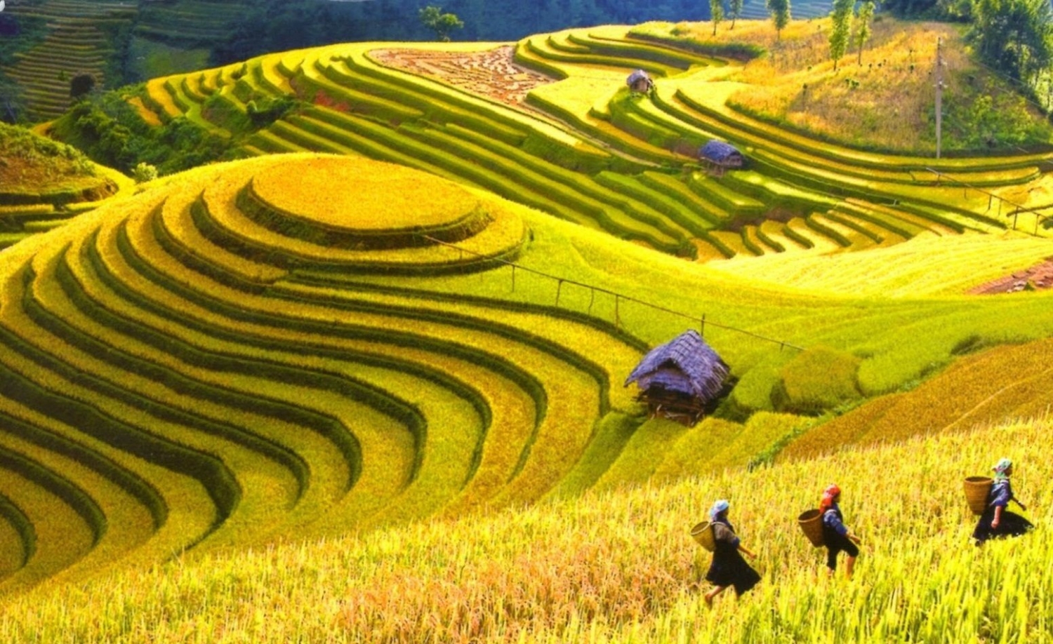 Tả Phìn làng của người Dao đỏ