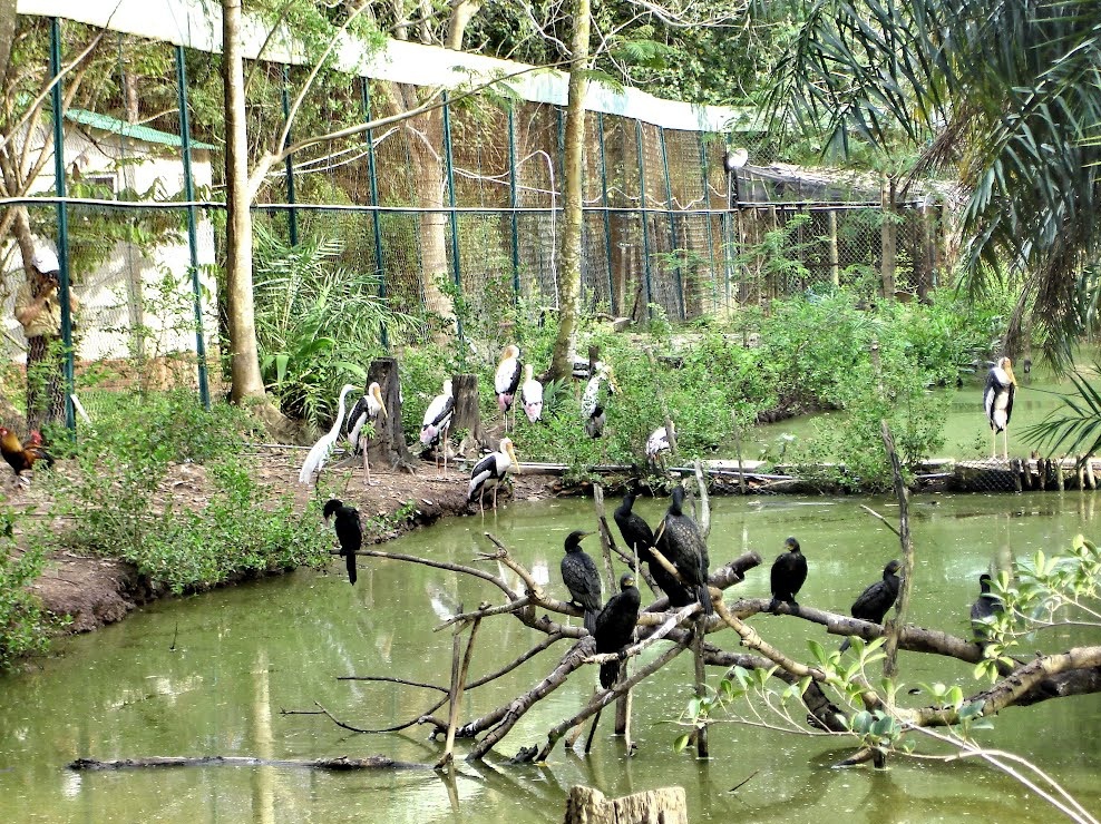 Vườn chim Bạc Liêu