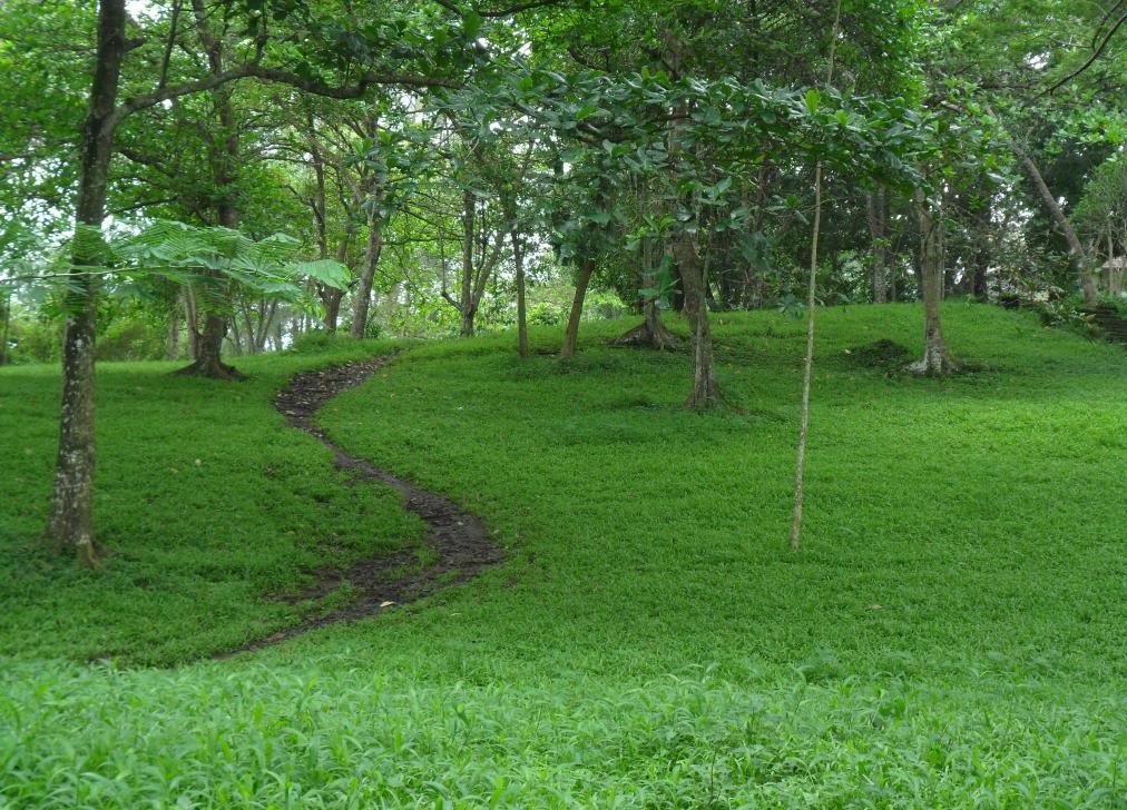 Công viên văn hóa Suối Tre 1