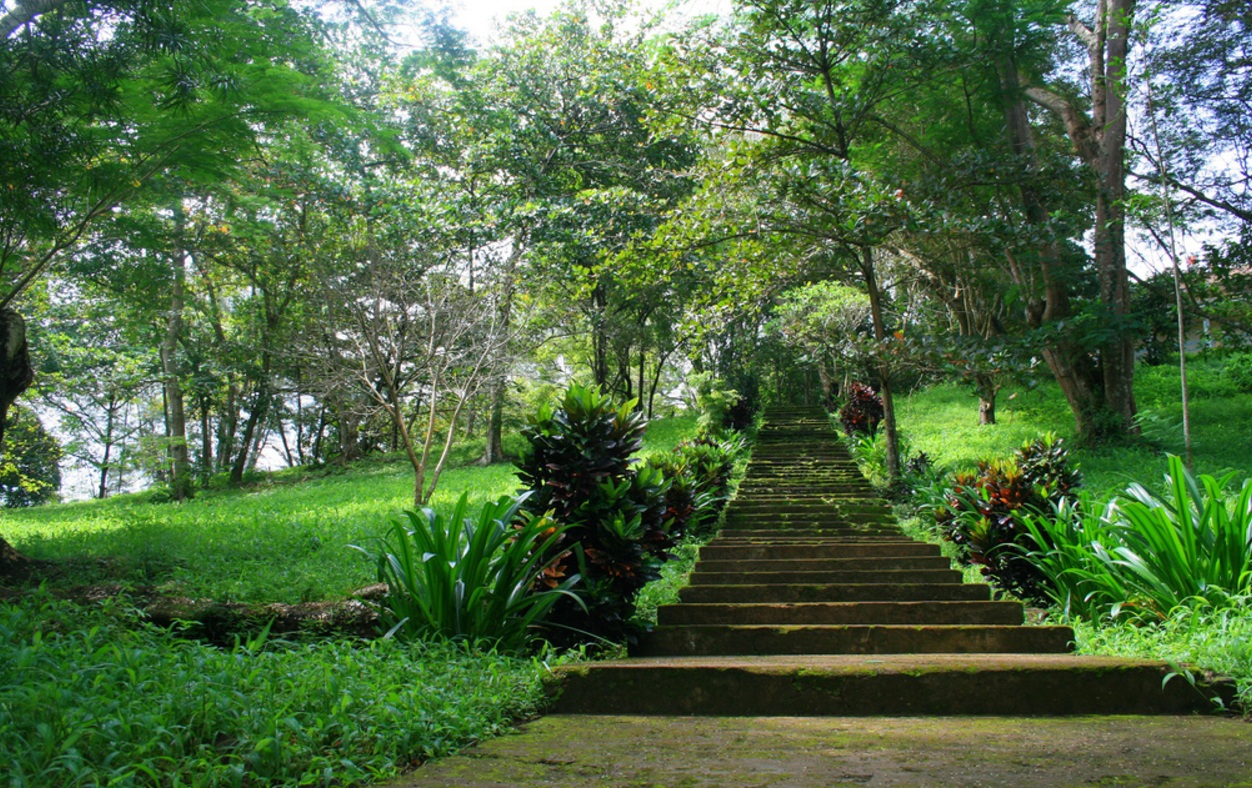 Công viên văn hóa Suối Tre 2