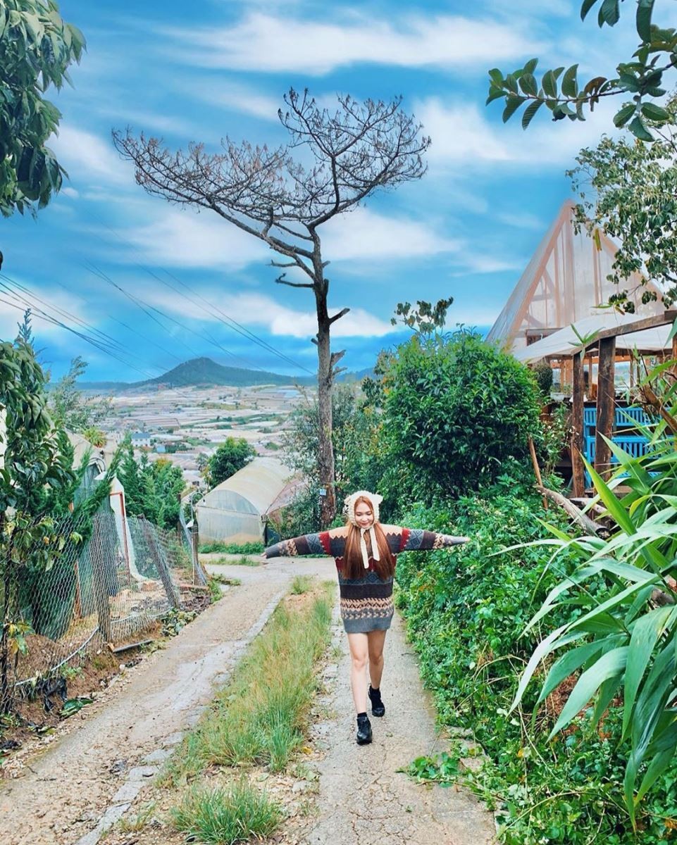 Từ Bình Dương đến Đà Lạt bao nhiêu km? Lộ trình, thời gian và chi phí