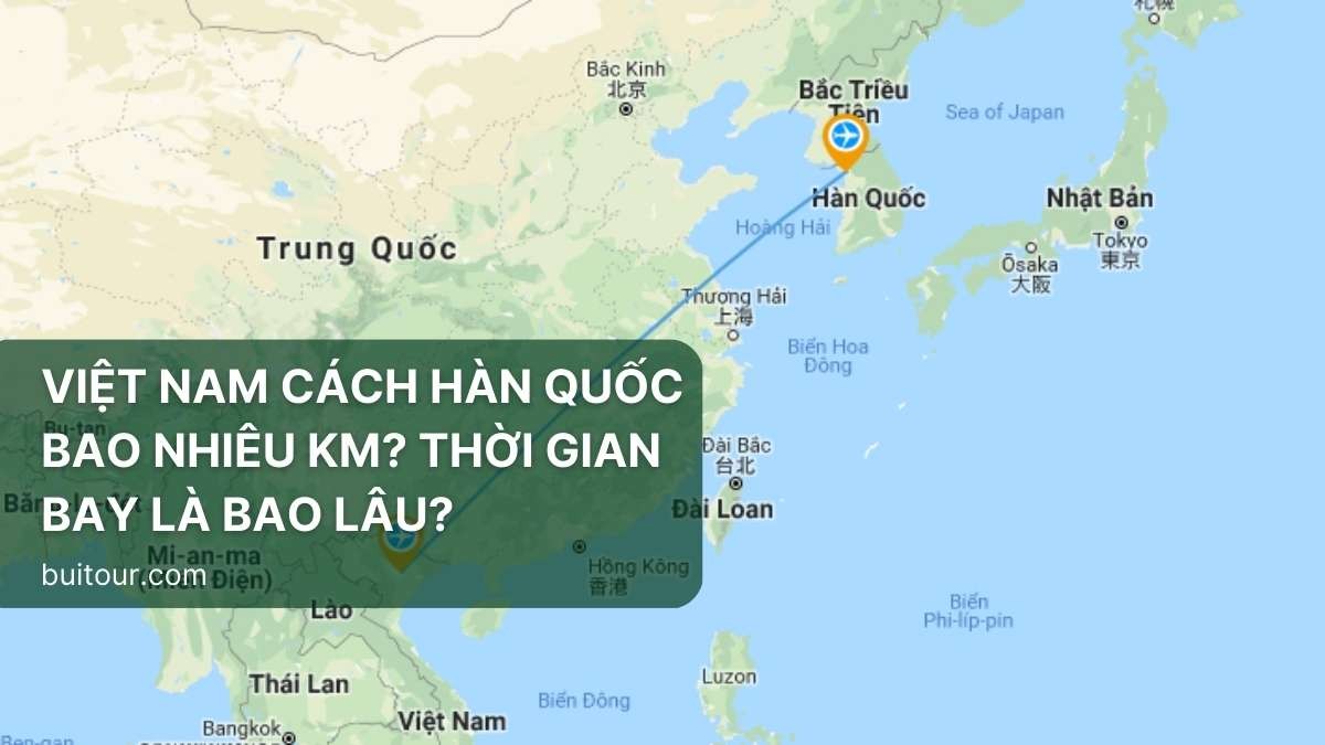 Từ Hà Nội đến Hội An bao nhiêu km? Cách đi, thời gian, chi phí