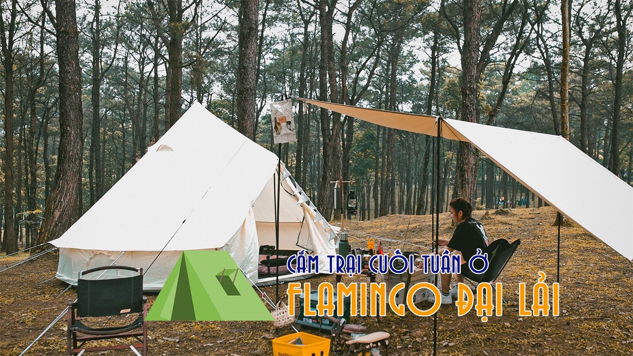 Từ Hà Nội đến Flamingo Đại Lải bao nhiêu km?