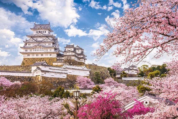 Chặng bay Việt Nam – Nhật Bản được nhiều hãng khai thác, thời gian bay đến Nagoya ngày càng tối ưu