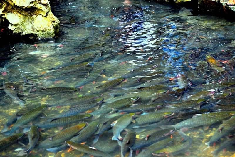 Cẩm nang những địa điểm du lịch tại Sài Gòn Từ A – Z