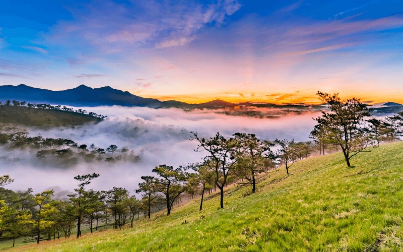 Từ Bắc Bình đến Thái Thụy bao nhiêu km? Lộ trình, thời gian và kinh nghiệm đi lại