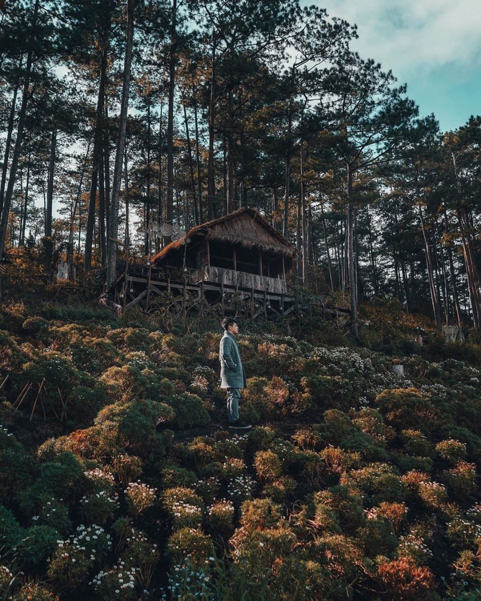 Từ Bình Dương đến Đà Lạt bao nhiêu km? Lộ trình, thời gian và chi phí