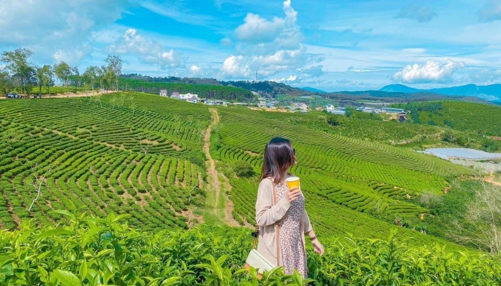 Từ Hà Nội đi Bình Thuận bao nhiêu km? Xe Hà Nội đi Bình Thuận