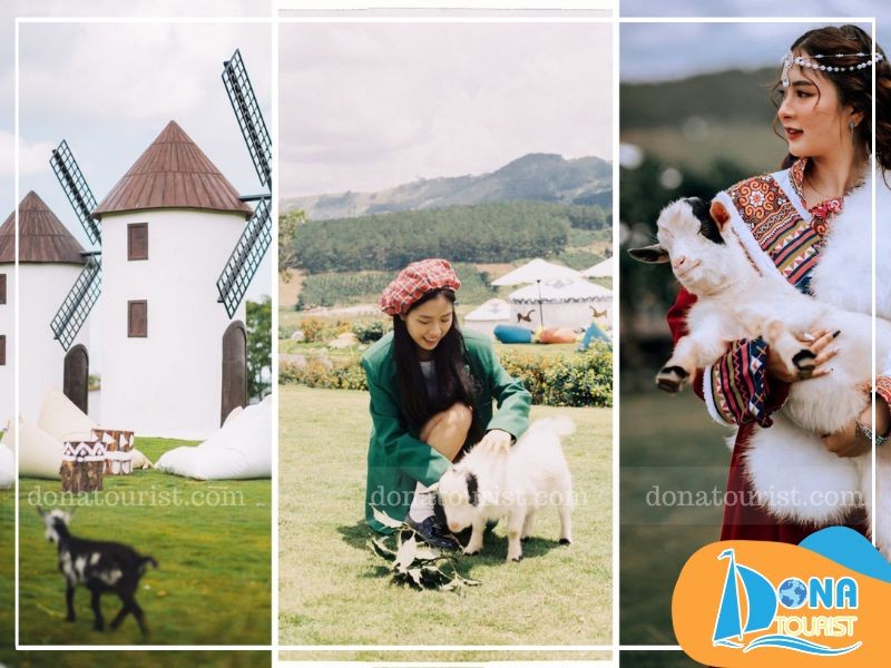 Từ Hà Nội đi Lâm Đồng bao nhiêu km? Xe Hà Nội đi Lâm Đồng